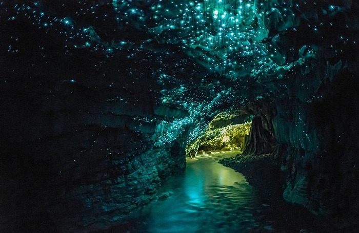 пещера, Вайтомо, Новая Зеландия