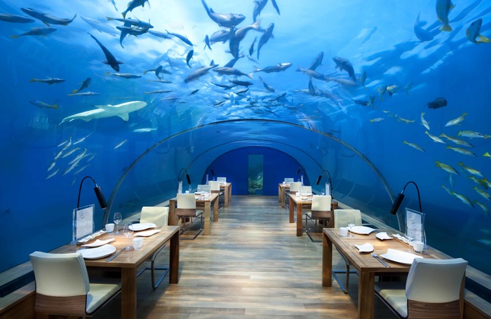 рыбы, океан, ресторан