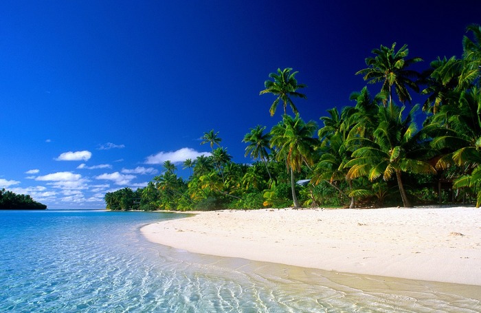 остров, Барбадос, пальмы